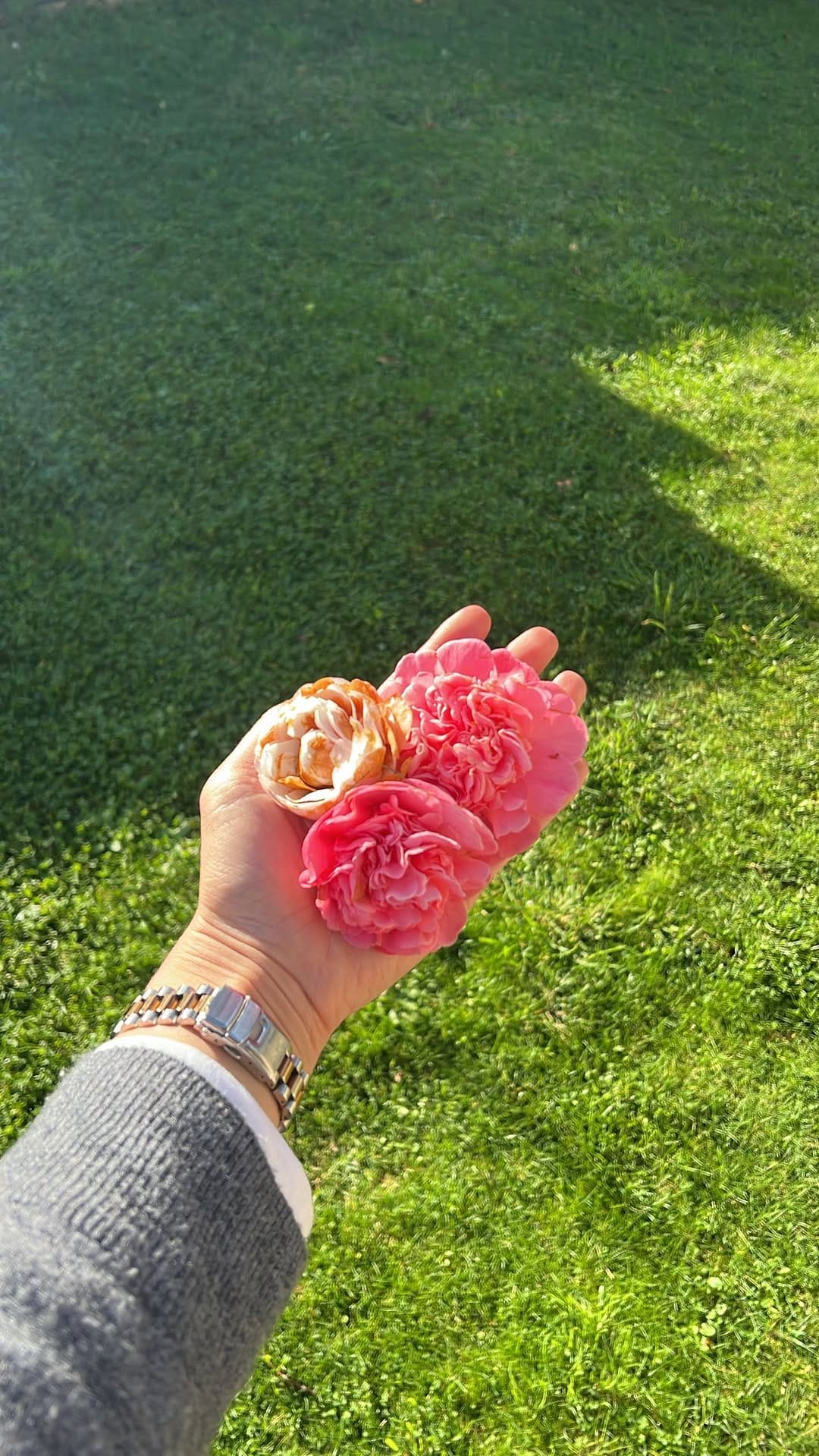 Post 5 by Maria Serrano Guijarro on Instagram (video)