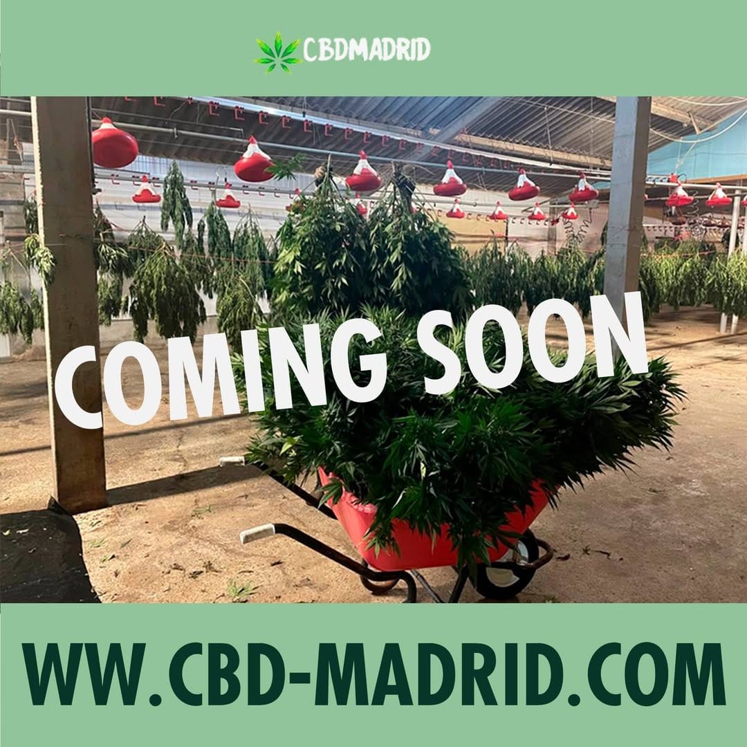 Post 10 by CBD Madrid on Instagram (image)