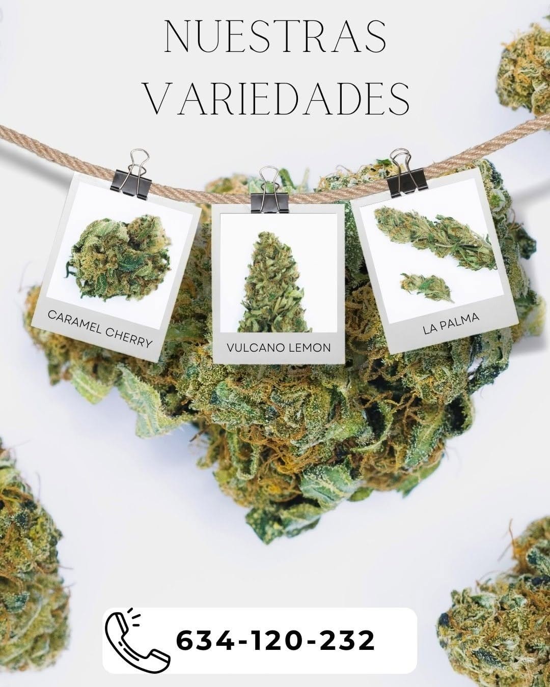 Post 5 by CBD Madrid on Instagram (image)