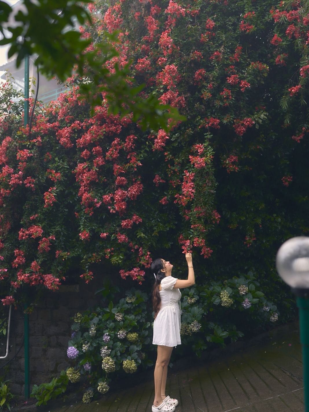 Post 8 by 𝑴𝒂𝒏𝒔𝒊🌷 on Instagram (carousel)