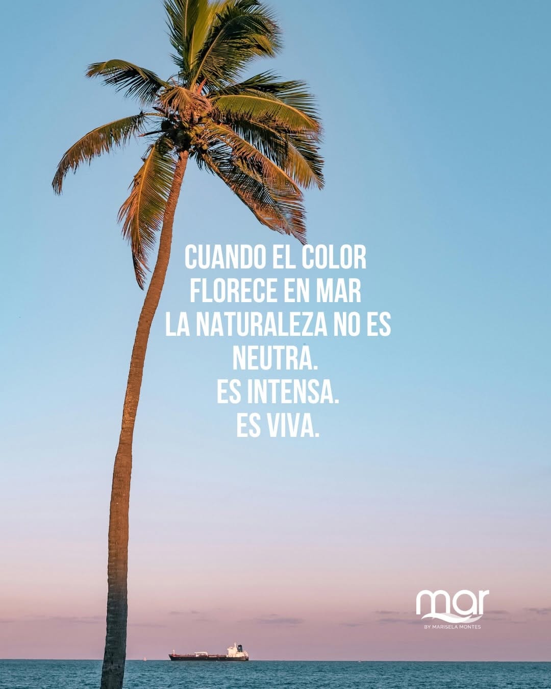 Post 4 by mar By Marisela Montes ®️Ropa on Instagram (carousel)