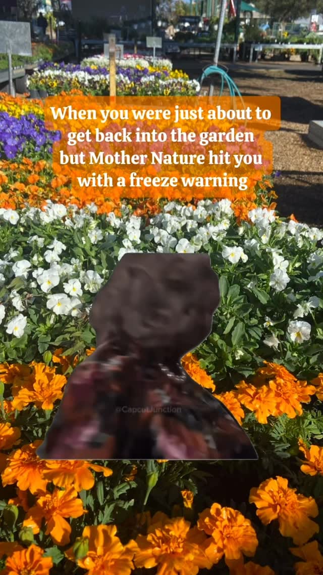 Post 3 by Lukas Nursery on Instagram (video)