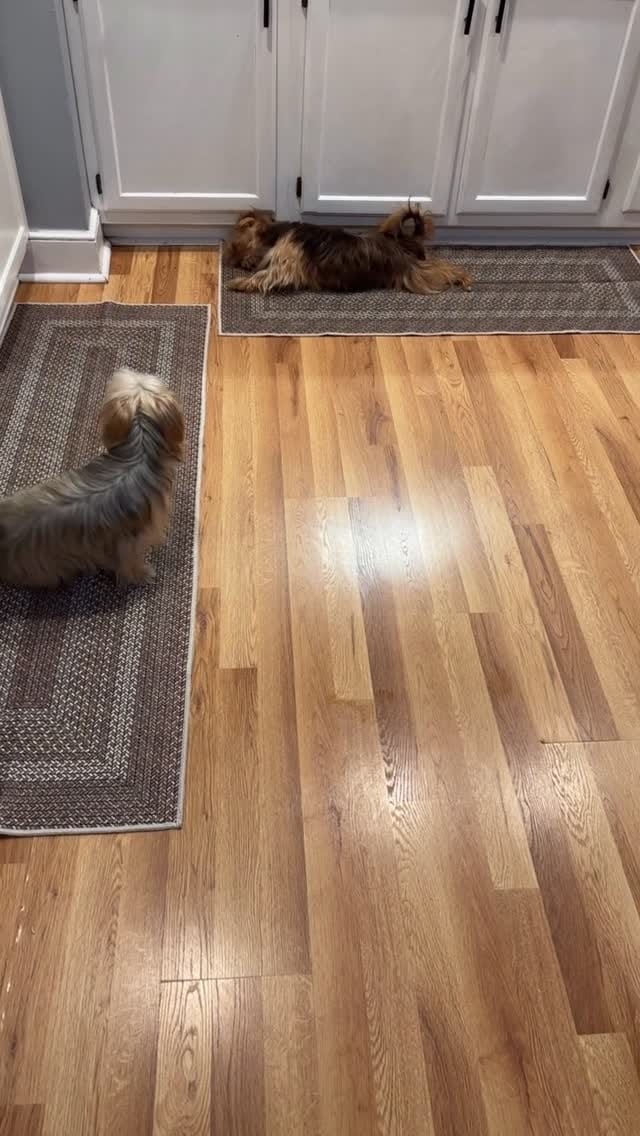 Post 7 by ✨ Yamel | Home & Lifestyle Creator on Instagram (video)