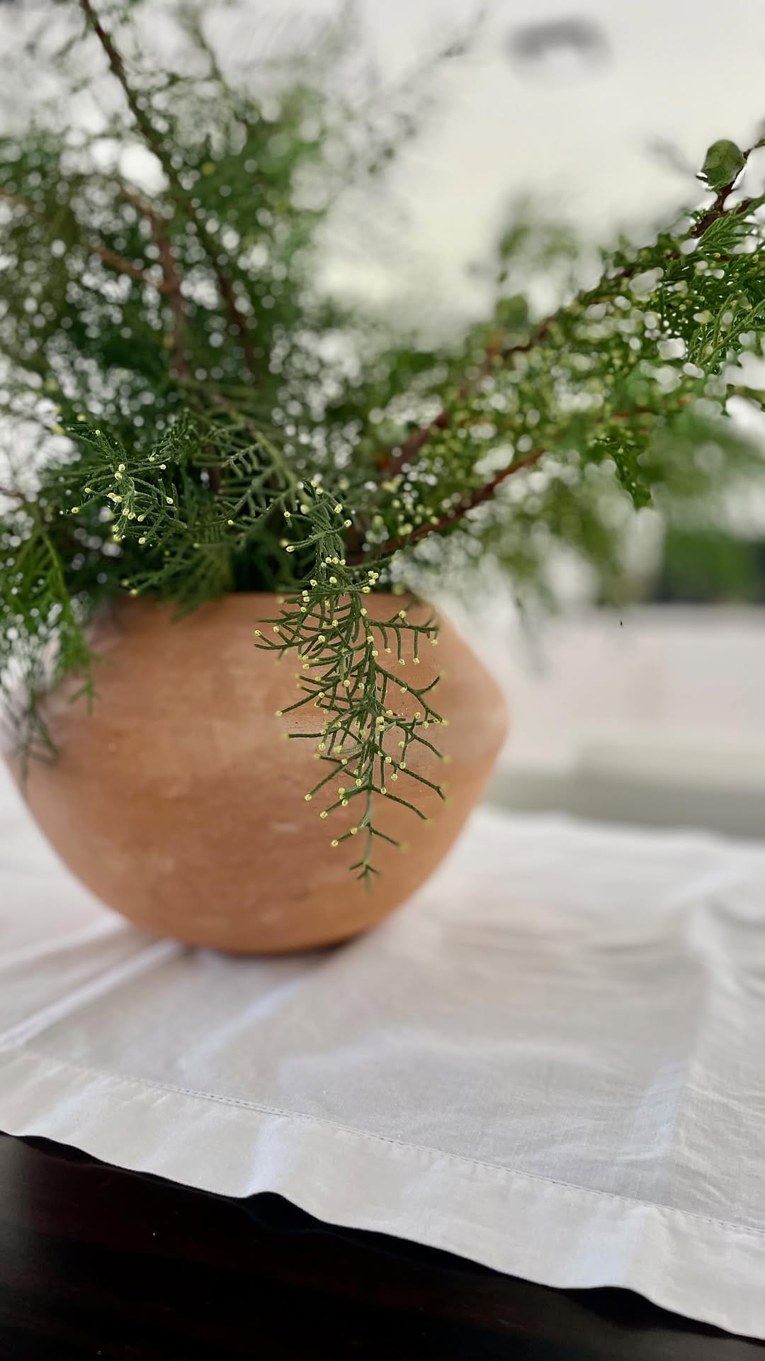 Post 2 by Cande Mariano | Slow Living • Deco & Lifestyle on Instagram (video)