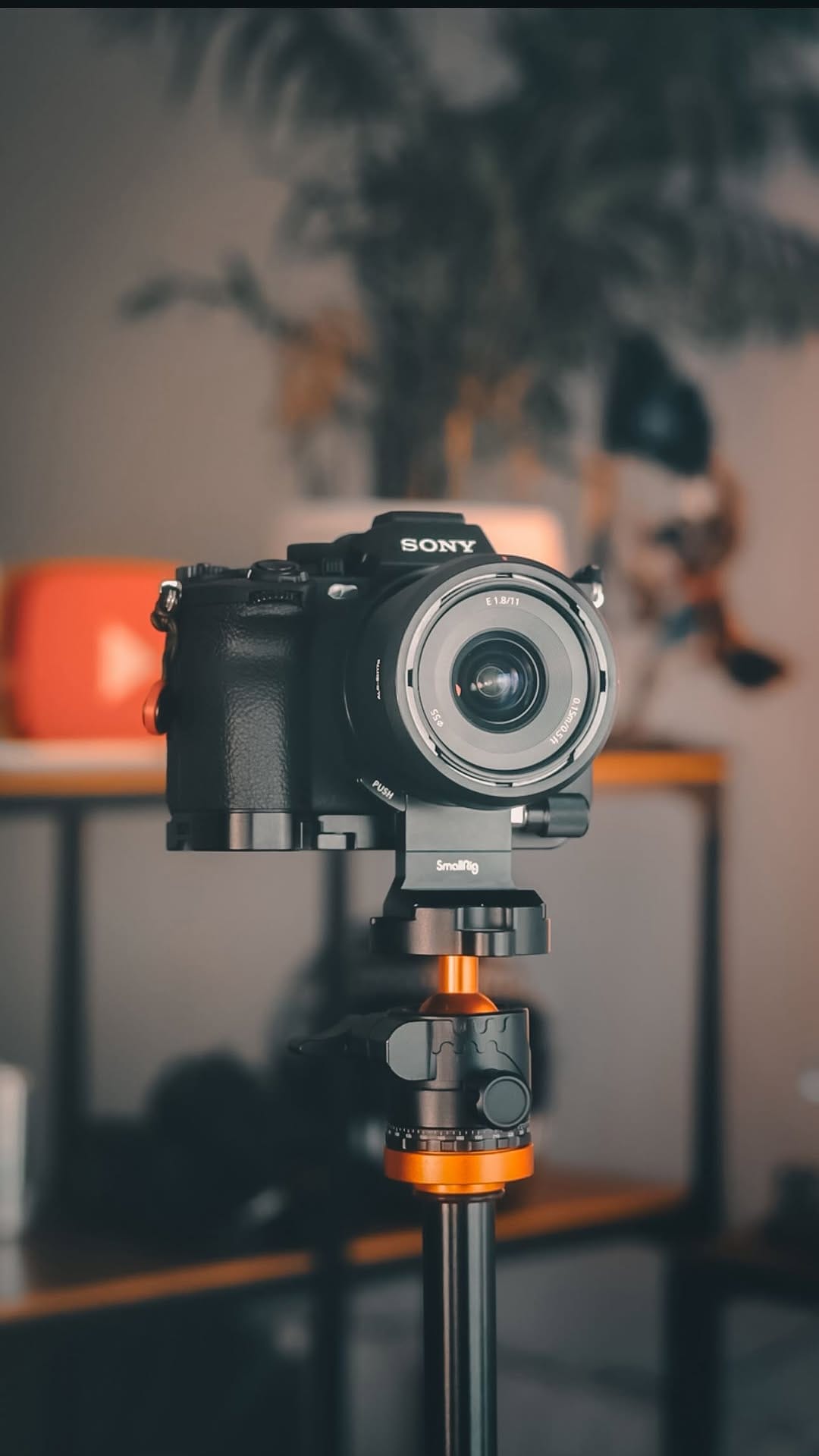 Post 6 by 𝗝𝗮𝘃𝗶𝗦𝗸𝗮𝘂 on Instagram (video)