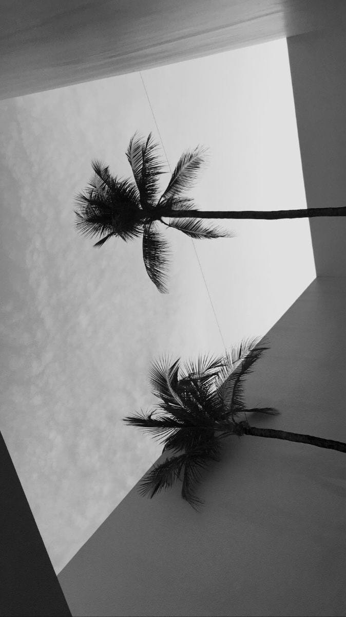 Post 4 by Daniela Titin on Instagram (video)