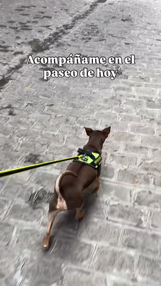 Post 1 by Kinder y Coco🇪🇸 on Instagram (video)