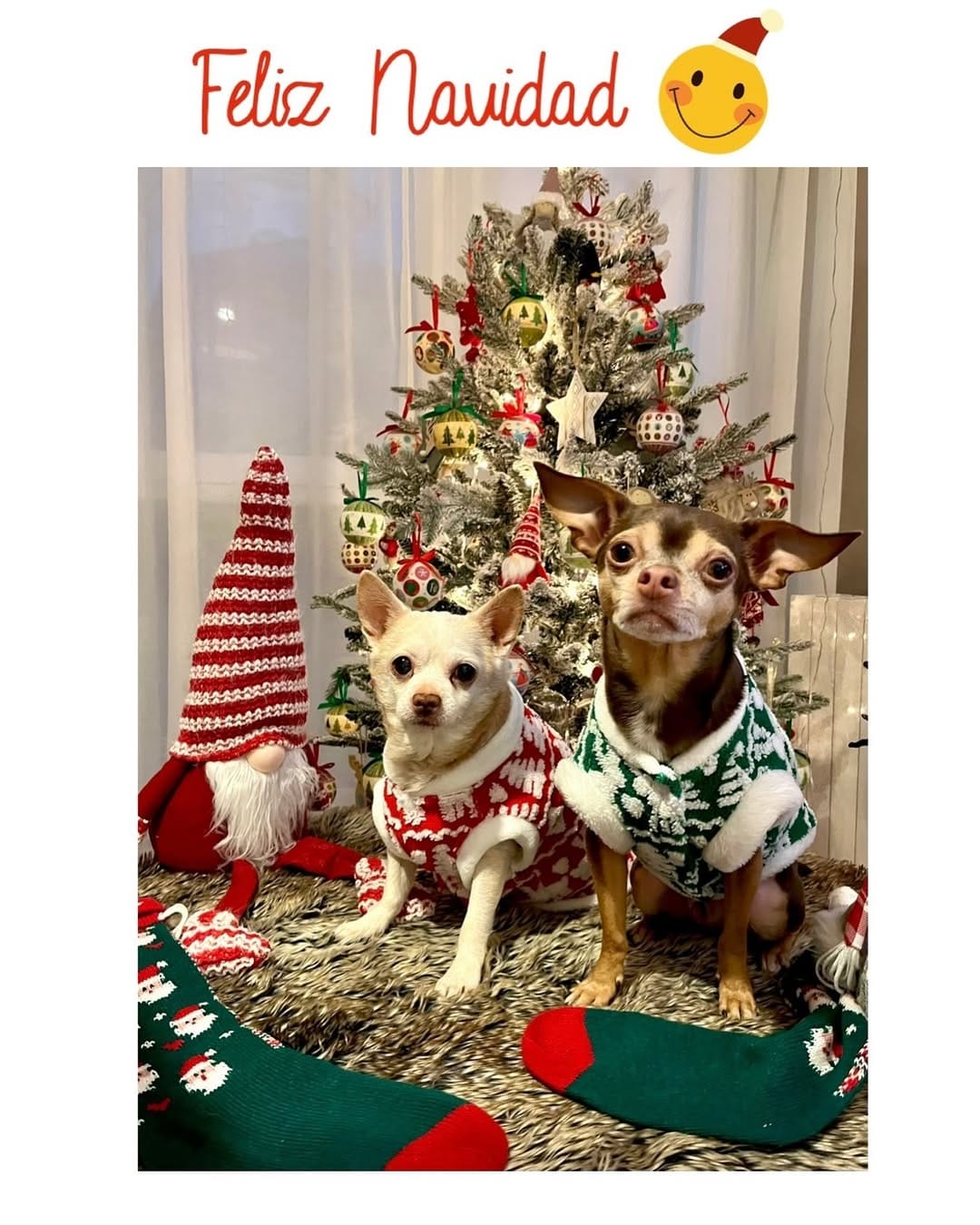 Post 4 by Kinder y Coco🇪🇸 on Instagram (carousel)