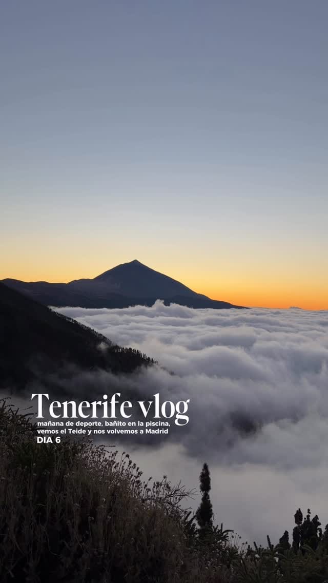 Post 4 by Patricia Vega Benito on Instagram (video)