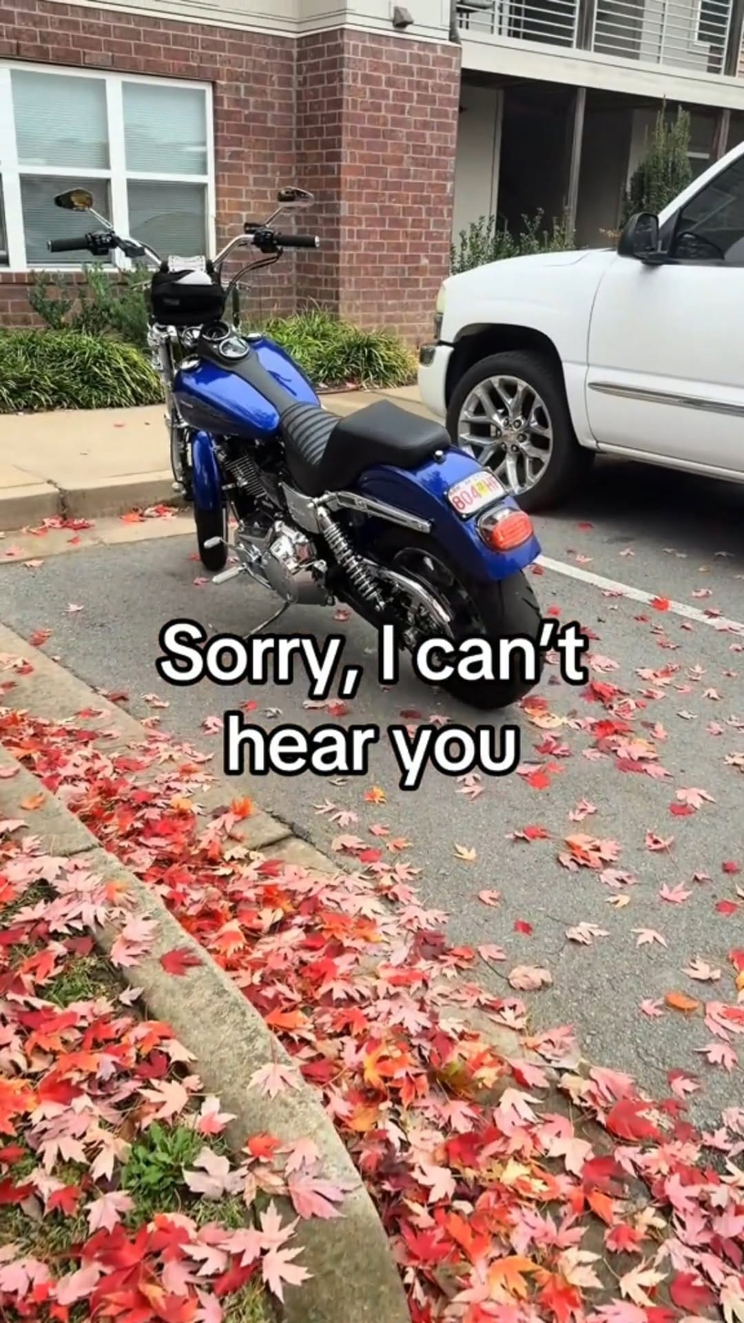 Post 1 by RebelXion on Instagram (video)