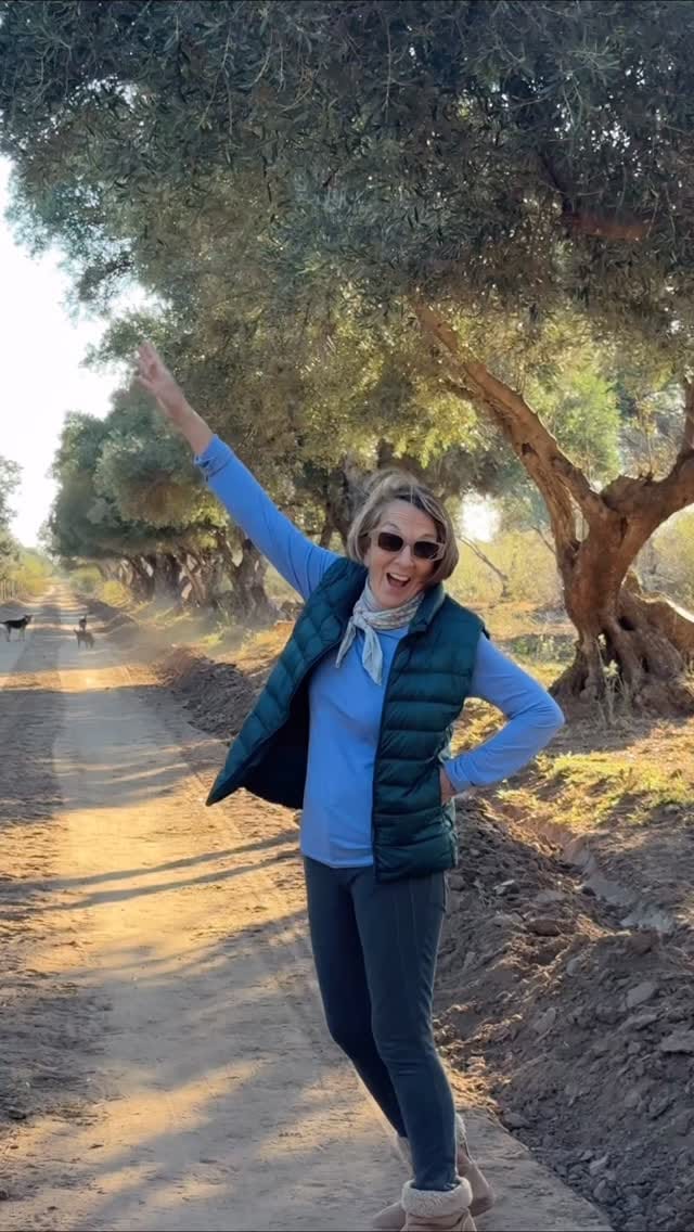 Post 3 by San Nicolás Orgánico on Instagram (video)