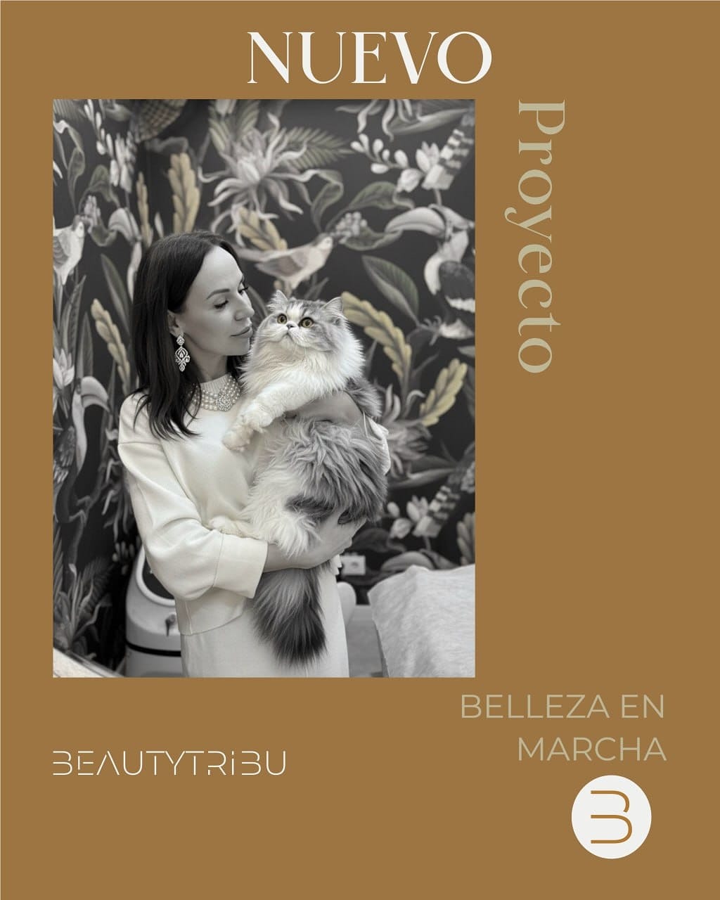 Post 10 by Mentora de Negocios de Estética/Networking/Business consulting on Instagram (carousel)