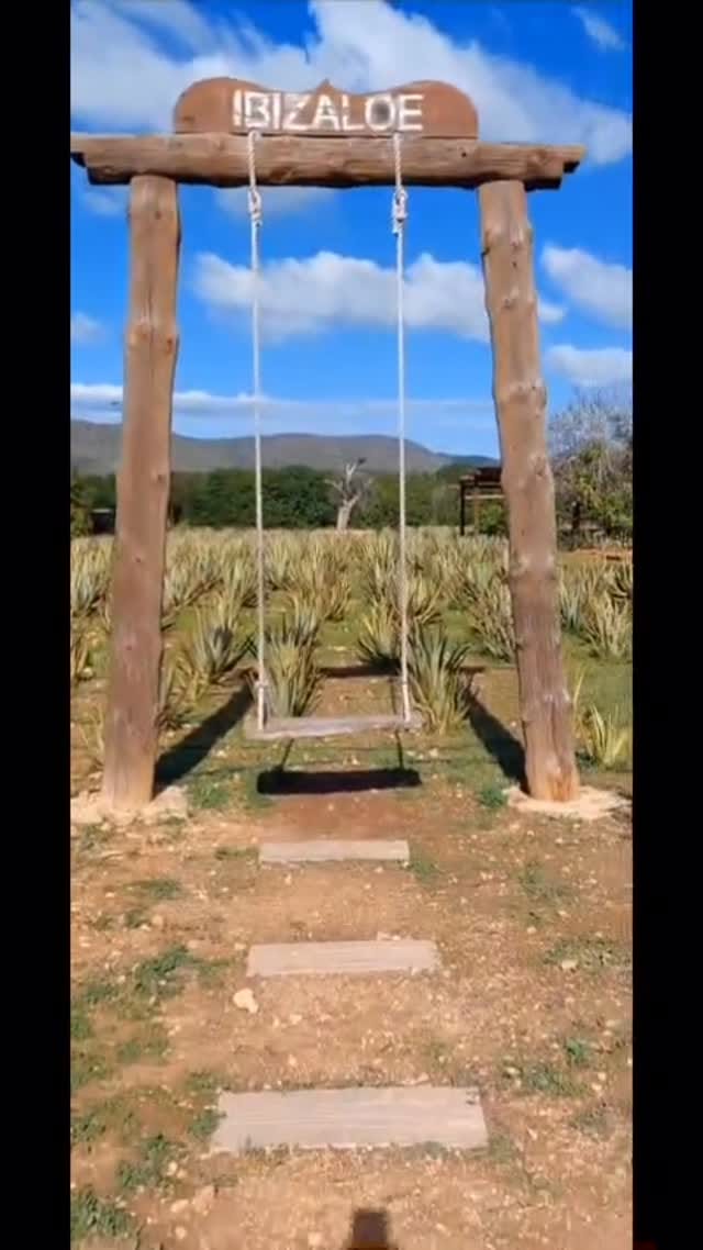 Post 4 by IBIZALOE on Instagram (video)