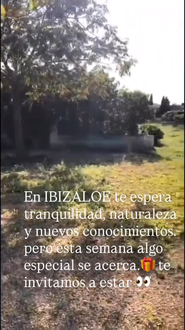 Post 2 by IBIZALOE on Instagram (video)