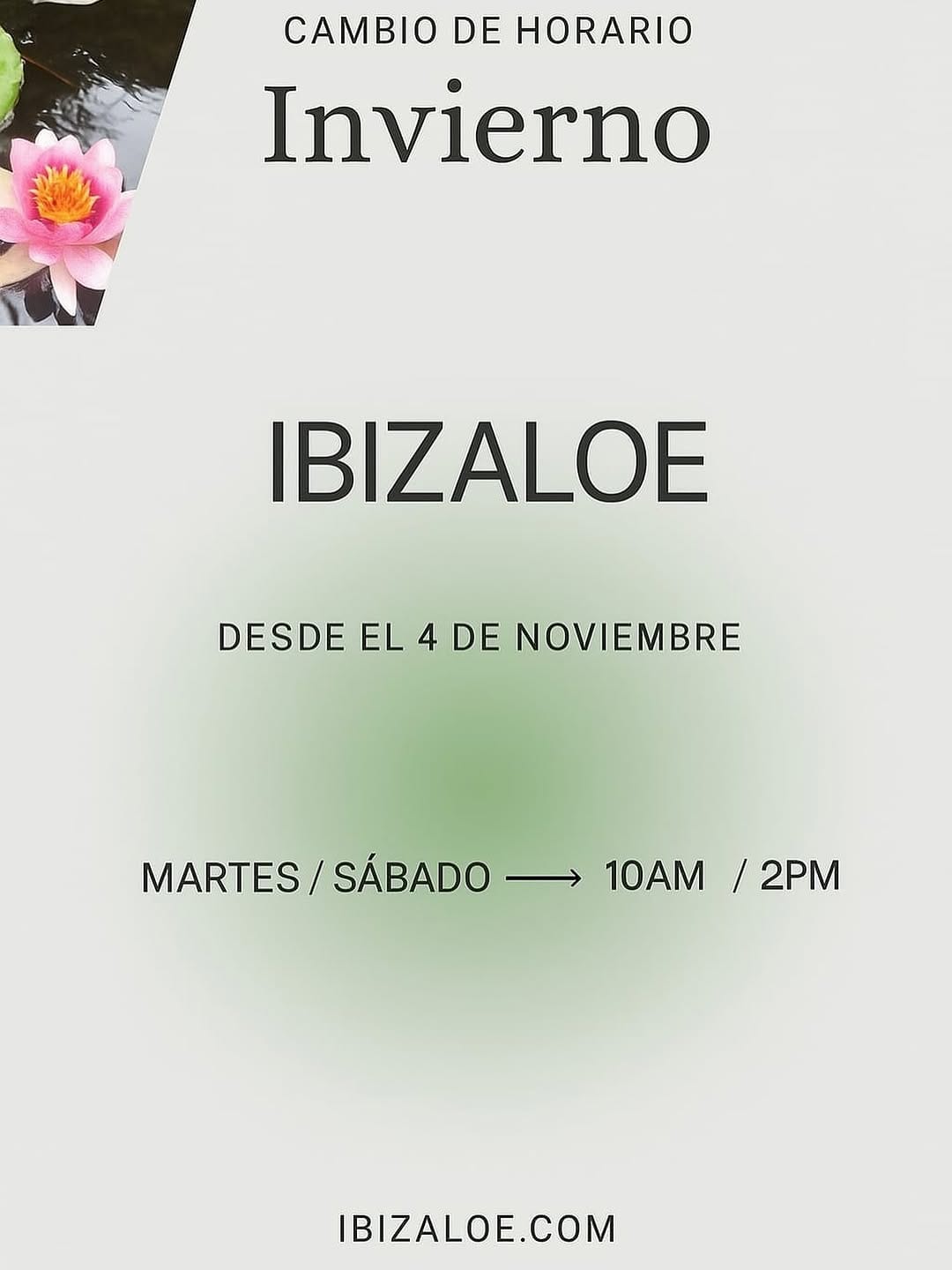 Post 5 by IBIZALOE on Instagram (image)