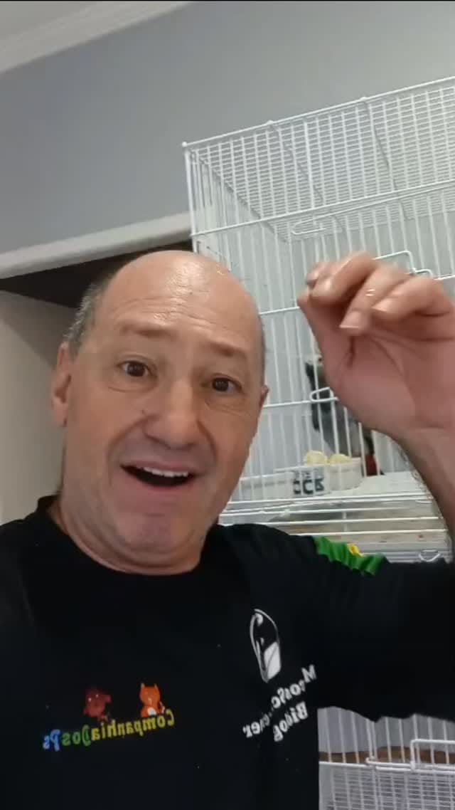 Post 6 by Companhia dos Pets on Instagram (video)