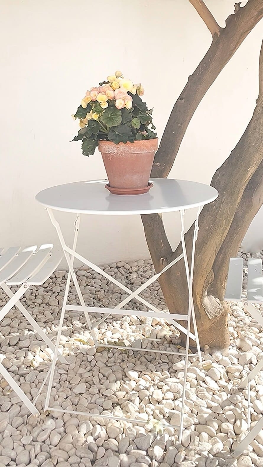 Post 7 by Laura | Home interior on Instagram (video)