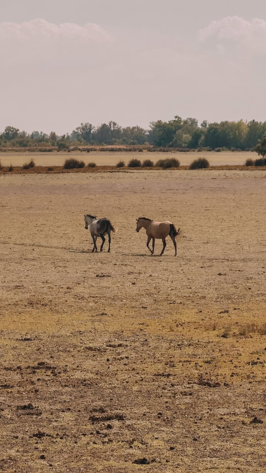 Post 3 by Joaquín Reixa on Instagram (video)