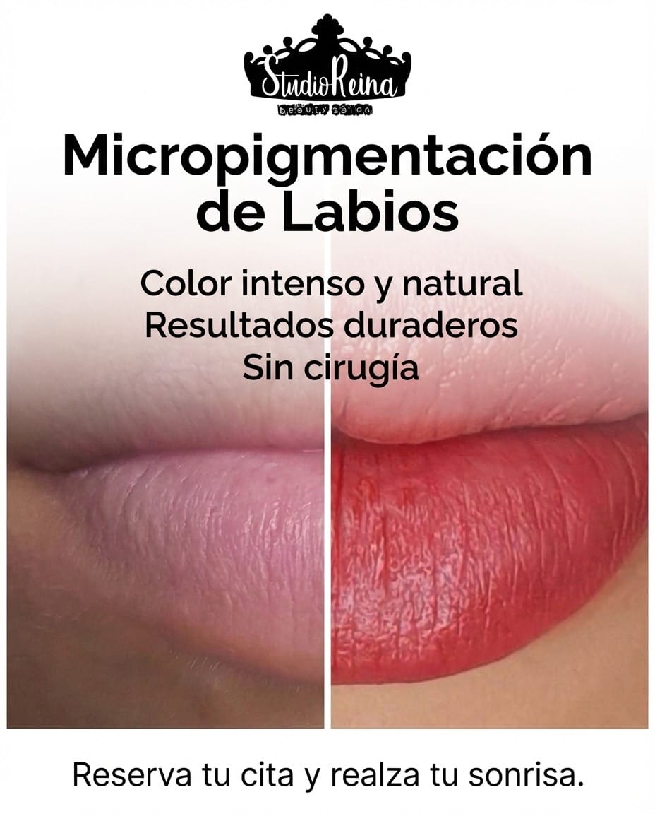 Post 1 by Studio Reina Valencia | Micropigmentación & Belleza on Instagram (image)