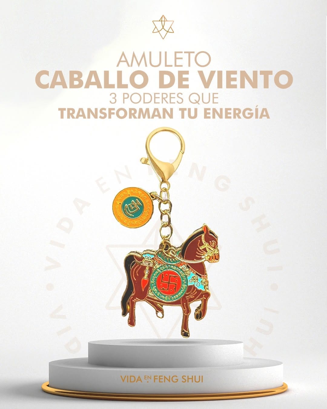 Post 4 by VidaenFengShui.com on Instagram (carousel)
