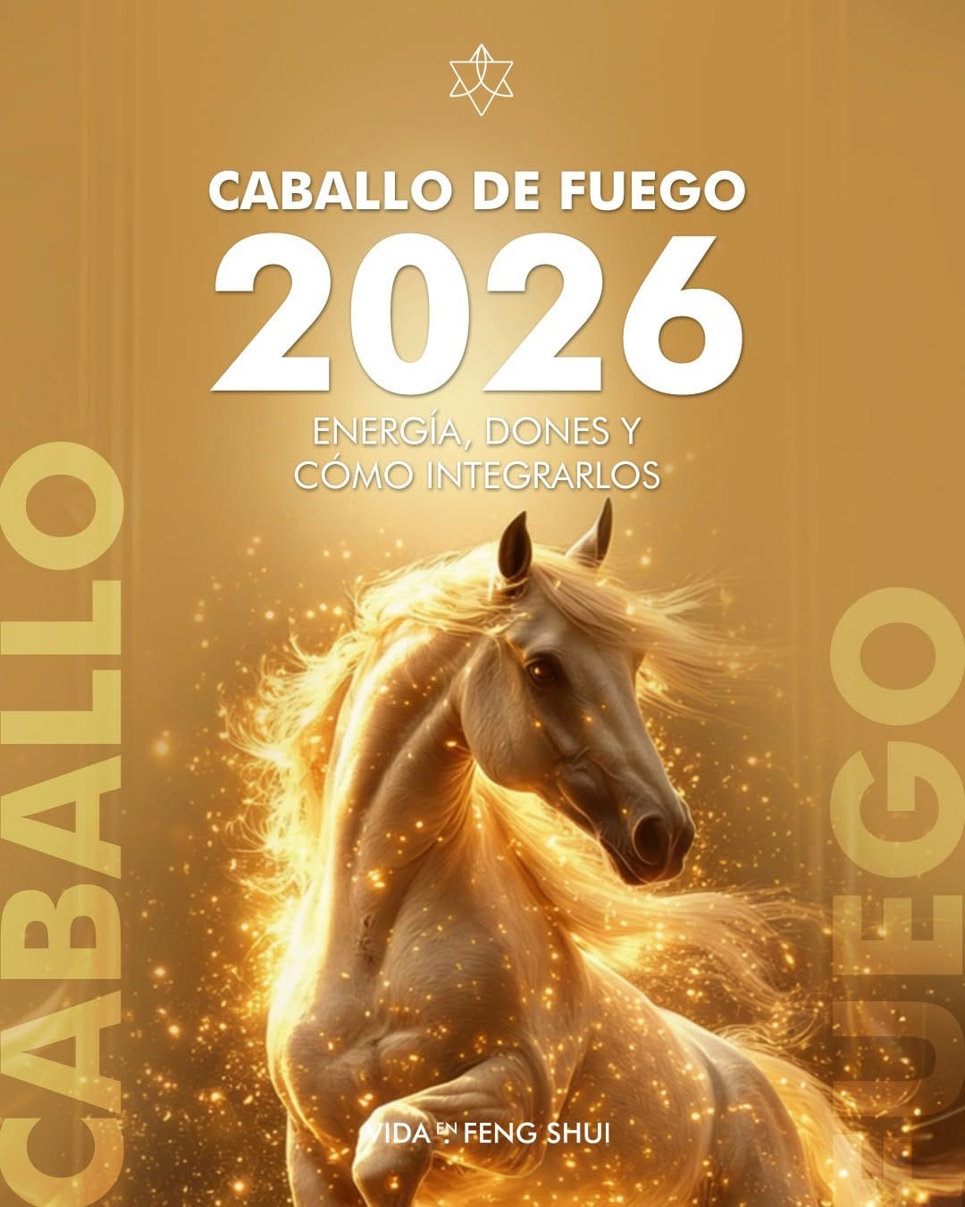 Post 5 by VidaenFengShui.com on Instagram (carousel)