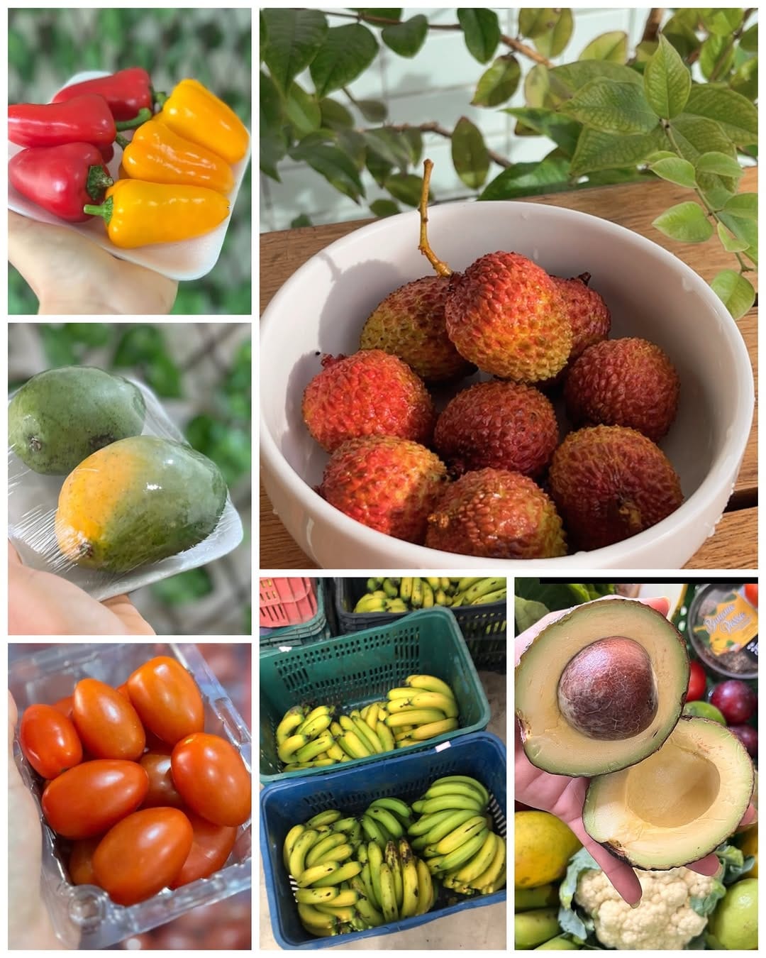 Post 6 by 🍅Tomatito lifestyle saudável on Instagram (image)