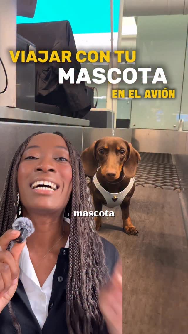 Post 7 by C a r i n n e on Instagram (video)