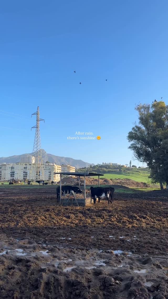 Post 6 by Liv | content creator on Instagram (video)