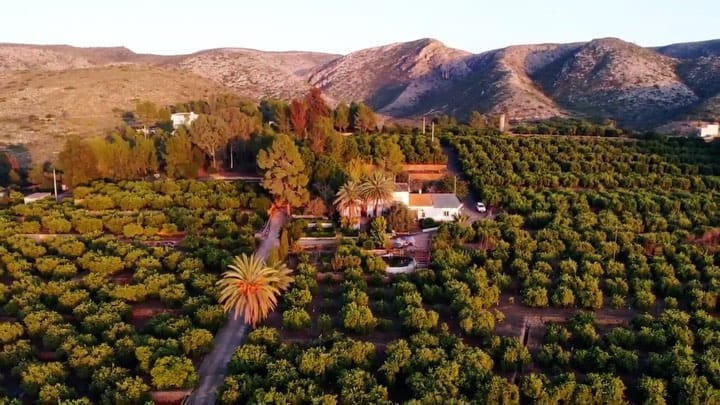 Post 10 by FROOTY • Healthy Bistro & Organic Market on Instagram (video)