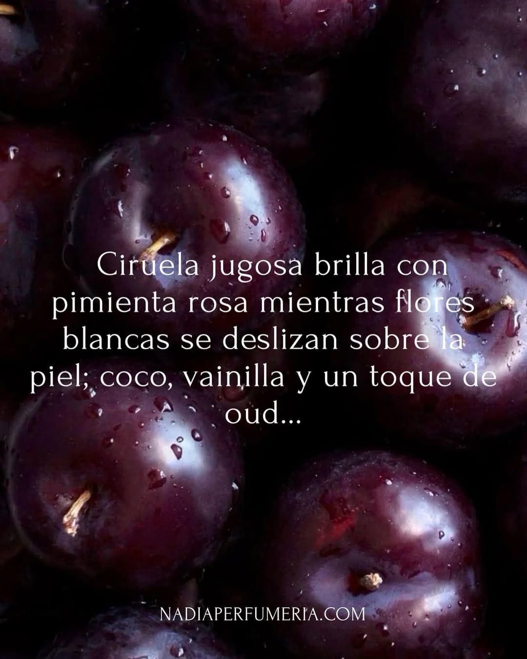 Post 1 by Nadia Perfumería on Instagram (image)