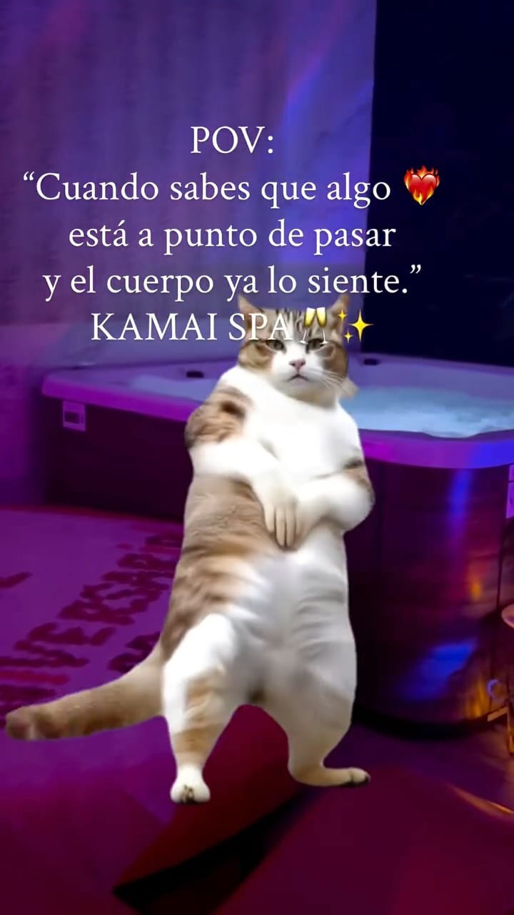 Post 1 by Kamai | Spa Privado en Madrid on Instagram (video)