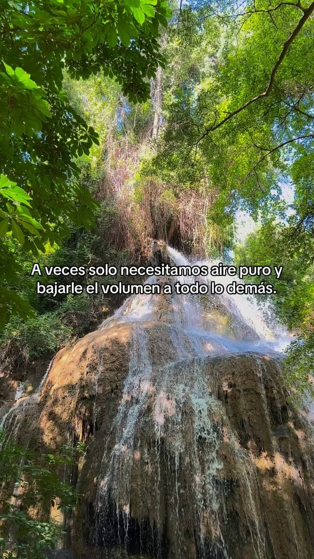 Post 5 by Carlota Jiménez on Instagram (video)