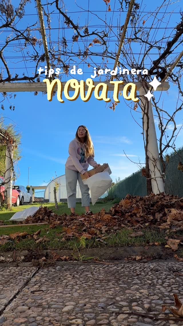 Post 8 by Alegrame la Vida on Instagram (video)