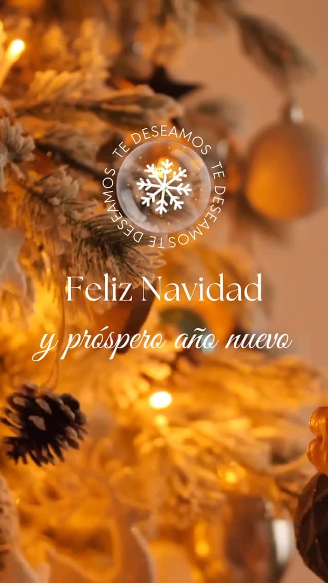 Post 3 by Viviana Luna on Instagram (video)
