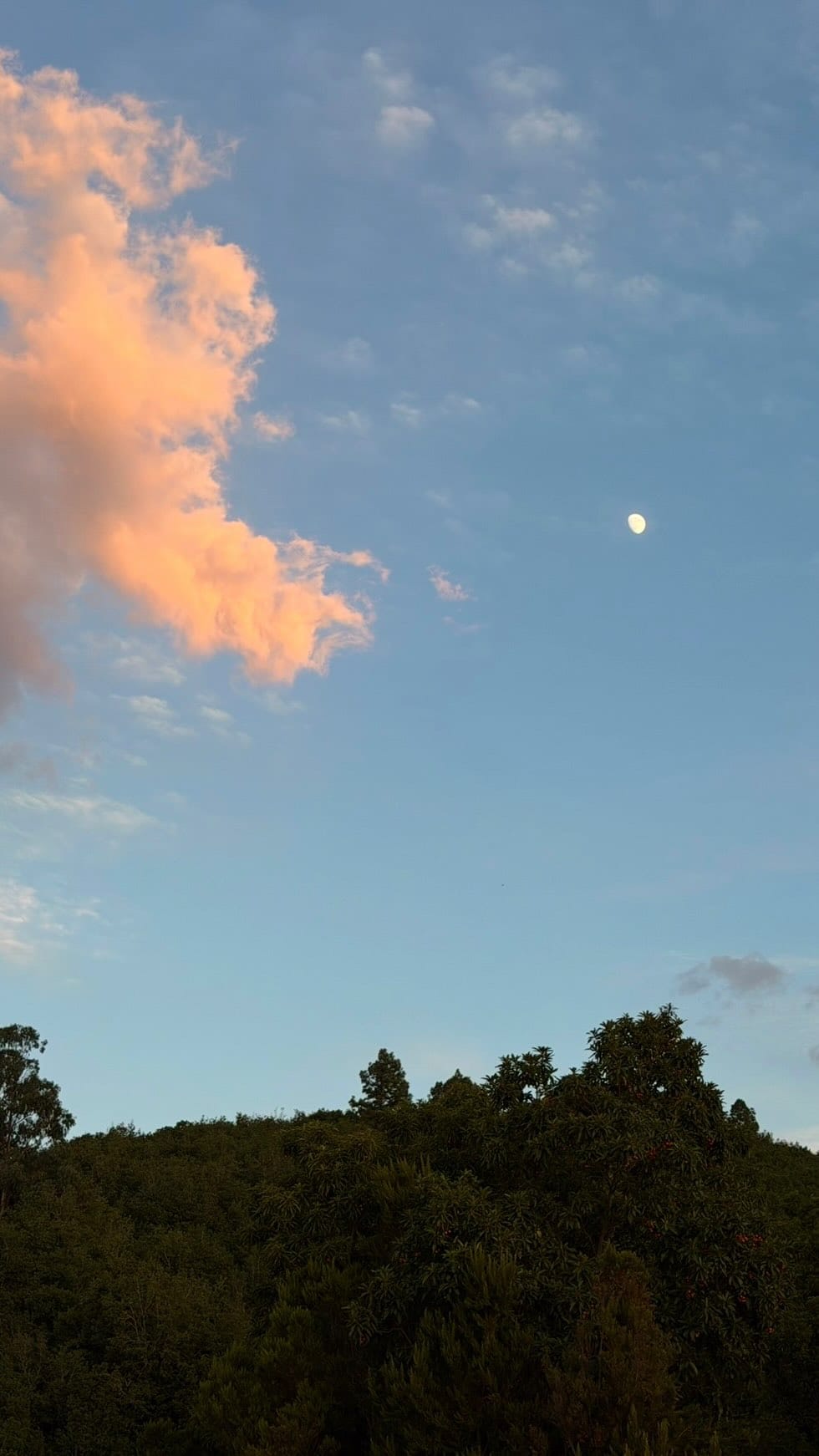 Post 8 by Paula Pérez on Instagram (video)