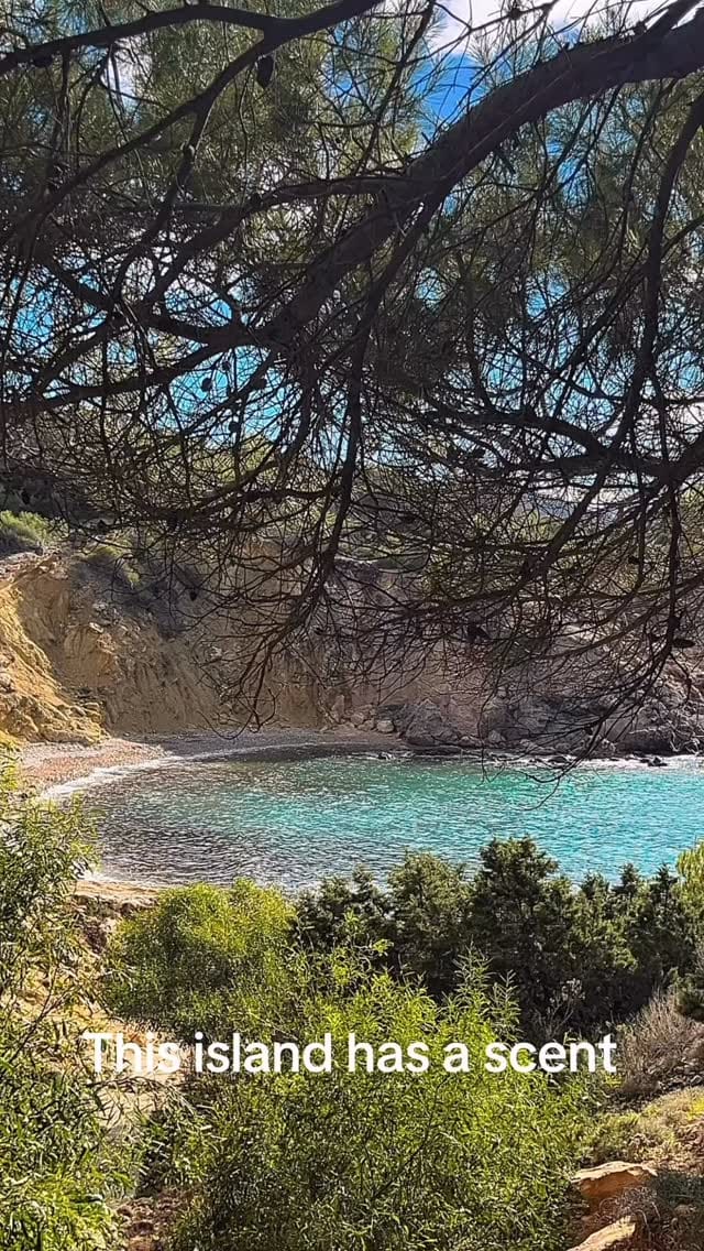 Post 1 by Hierbas de Ibiza Perfumes on Instagram (video)