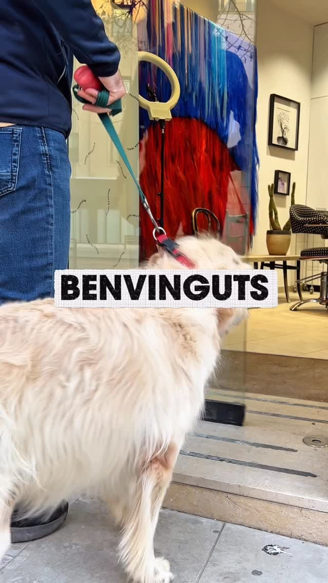 Post 10 by Carol Bruguera on Instagram (video)