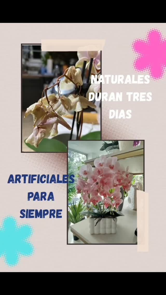 Post 5 by Velas | Cursos | Moldes | Decoración on Instagram (video)