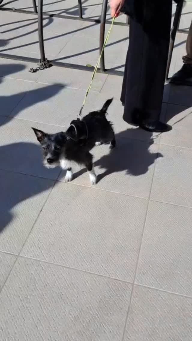 Post 3 by La Noria Outlet Shopping on Instagram (video)