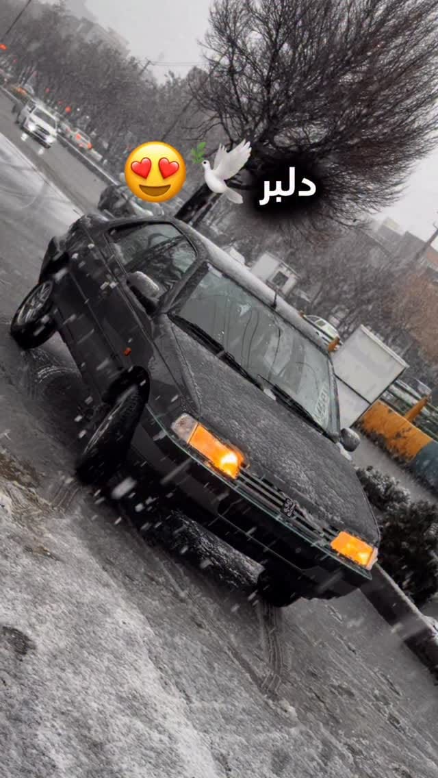 Post 1 by Adnan ELX | عدنان حسینی | پژو خشک | ایلکس on Instagram (video)
