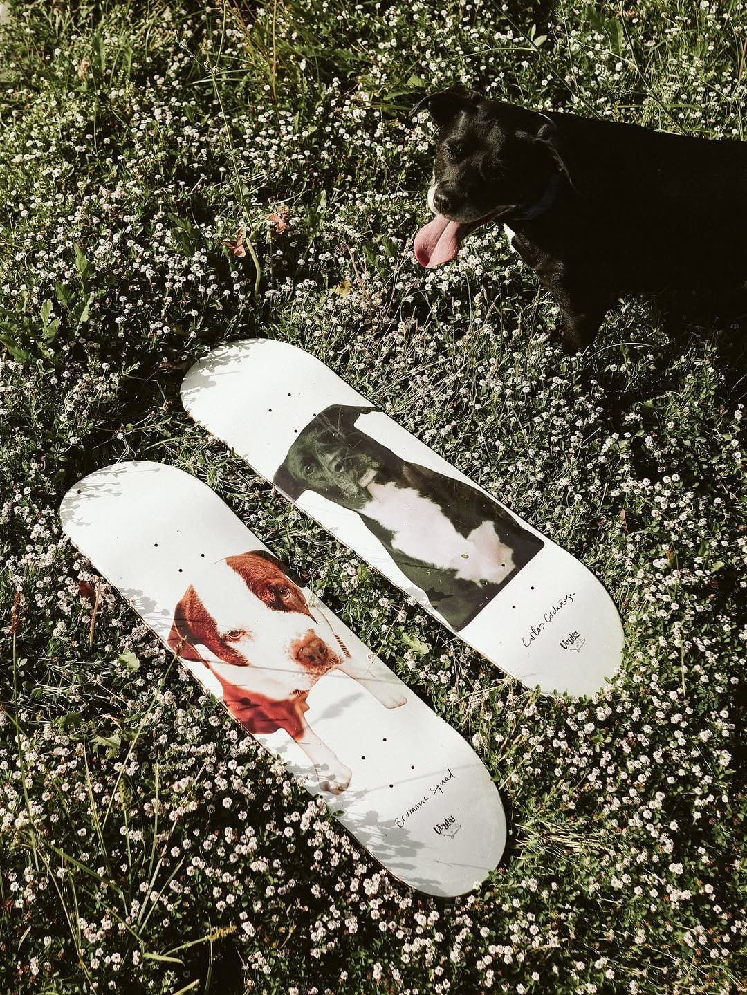 Post 8 by voyka skate shop on Instagram (carousel)