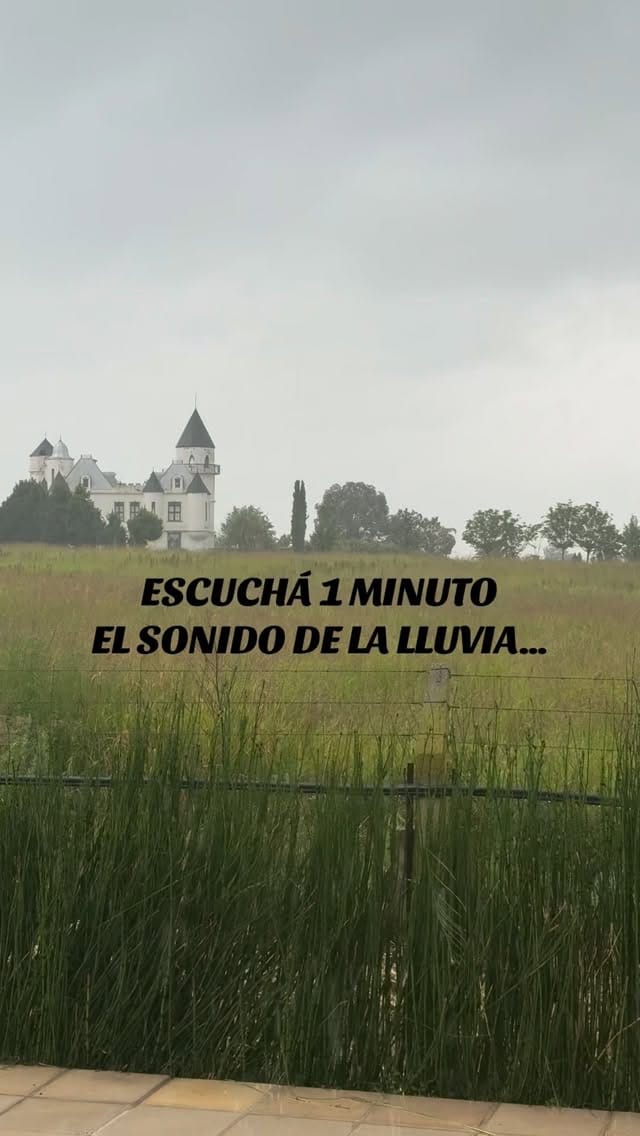 Post 5 by LiberadosYa on Instagram (video)