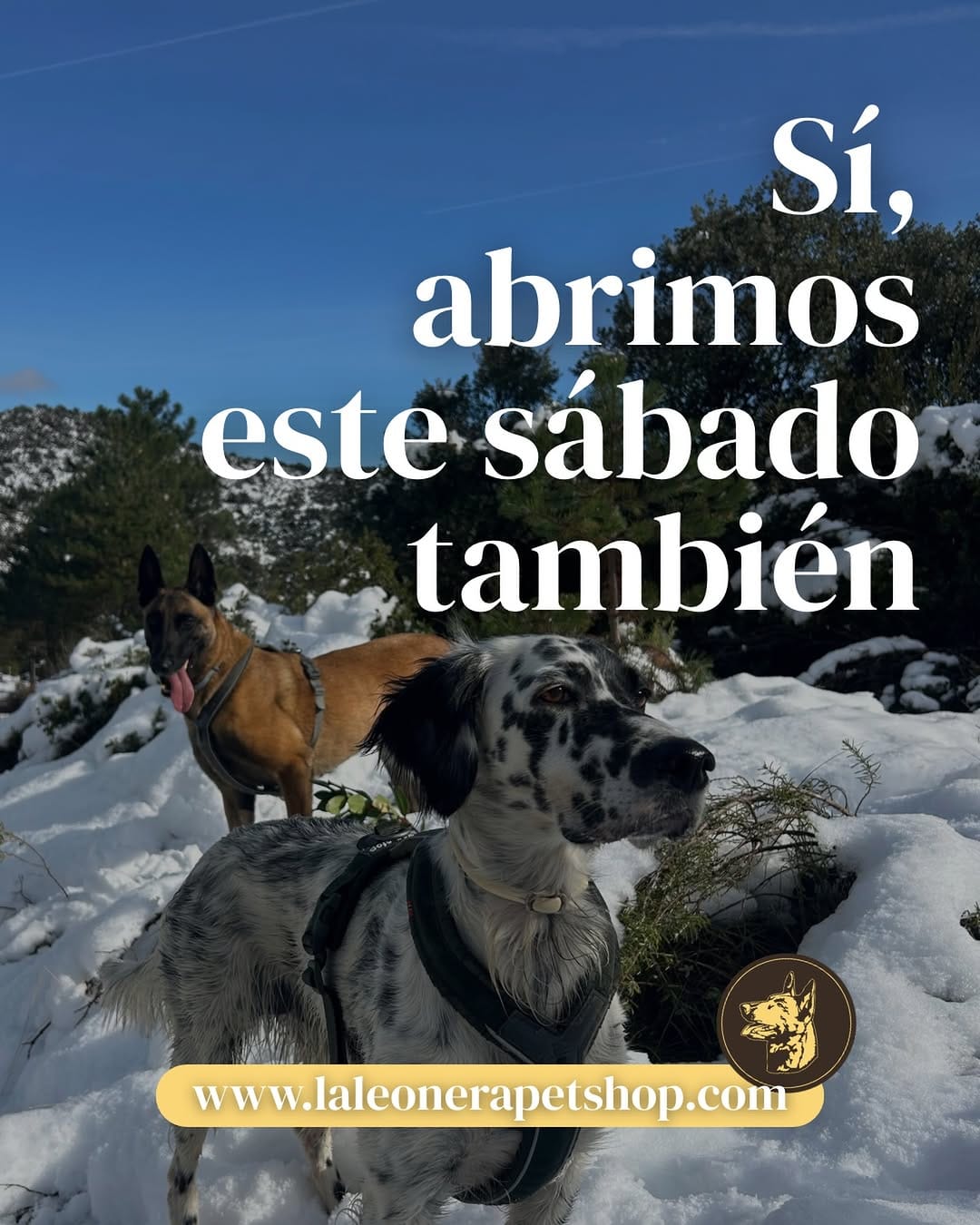 Post 4 by La Leonera pet shop - Nutrición natural para perros y gatos on Instagram (image)