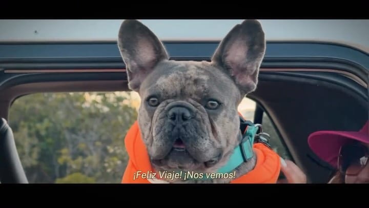 Post 8 by Abrilspeed on Instagram (video)