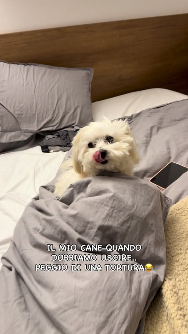 Post 6 by Monica Terraneo on Instagram (video)