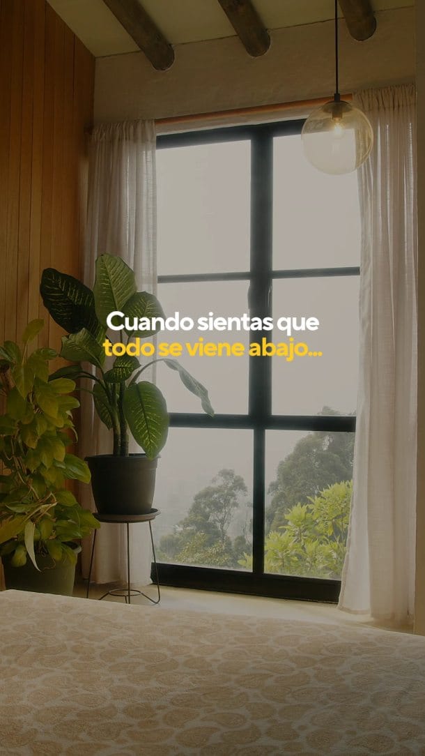 Post 8 by Nuria Cano on Instagram (video)