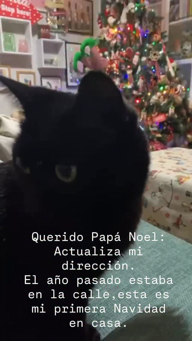 Post 2 by Fabiola Fernández on Instagram (video)