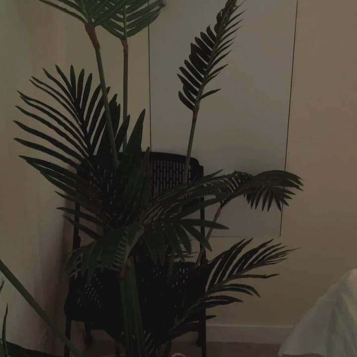 Post 3 by Studio “MyWay” on Instagram (video)