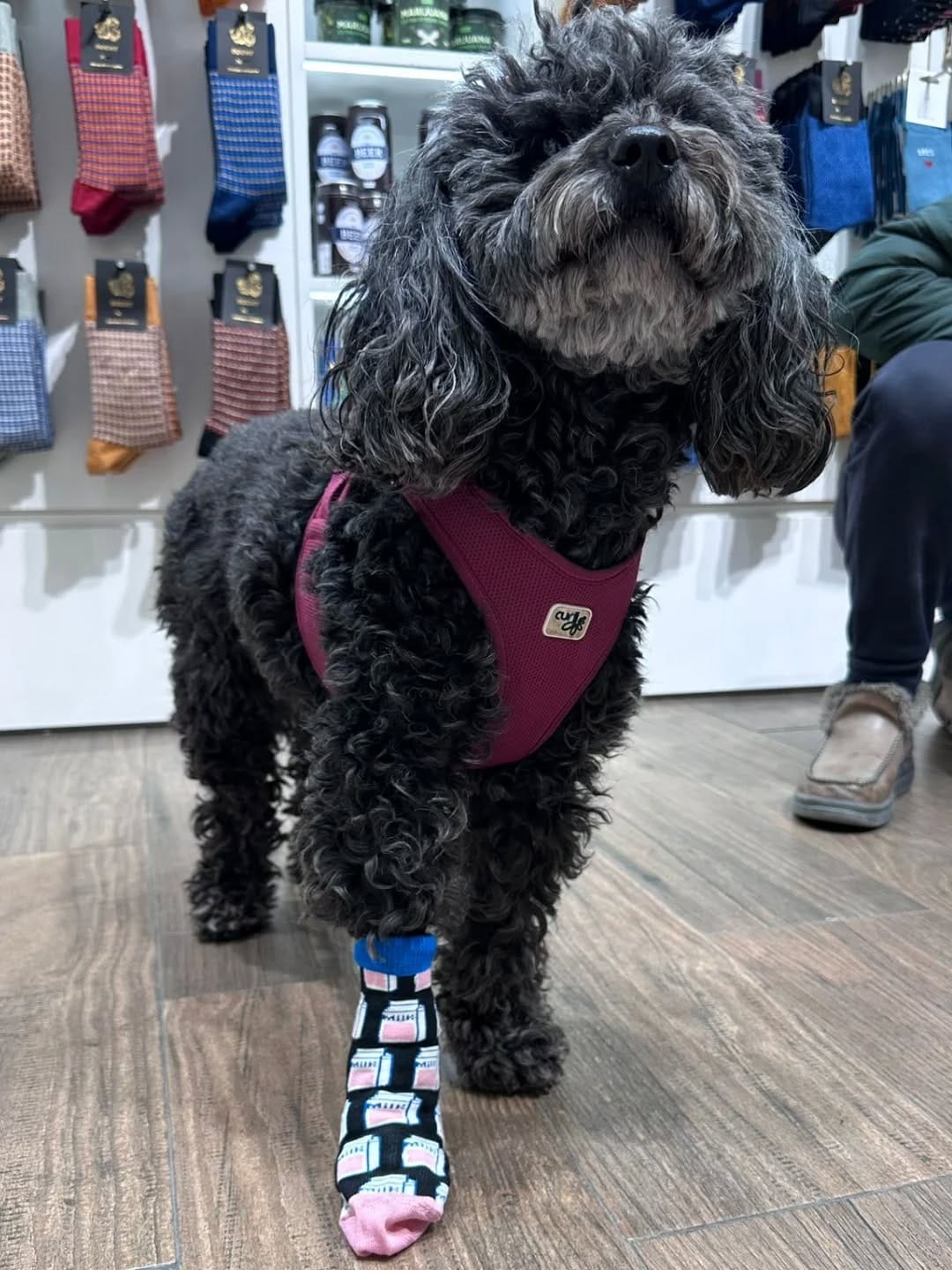 Post 1 by Socks Market on Instagram (image)