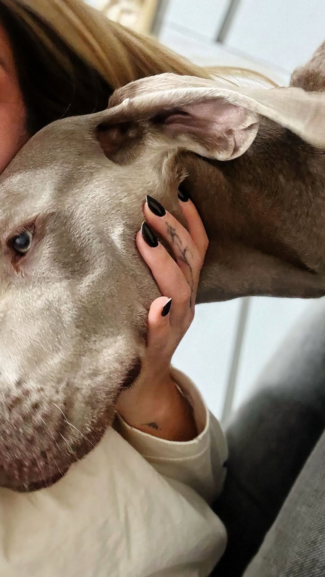 Post 5 by 𝙼𝚒𝚛𝚊𝚛𝚒 𝙱𝚒𝚕𝚋𝚊𝚘 on Instagram (video)